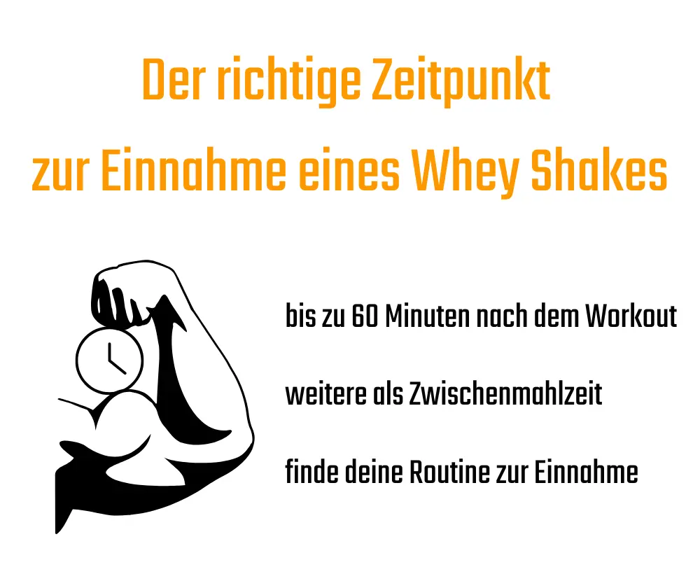 Info Grafik zum idealen Zeitpunkt zur Einnahme eines Protein Shakes