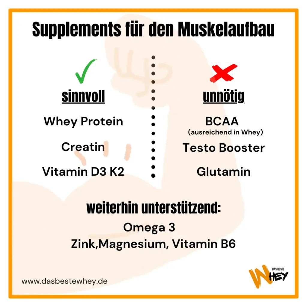 Grafische Darstellung von wichtigen und unnötigen Supplements für den Muskelaufbau