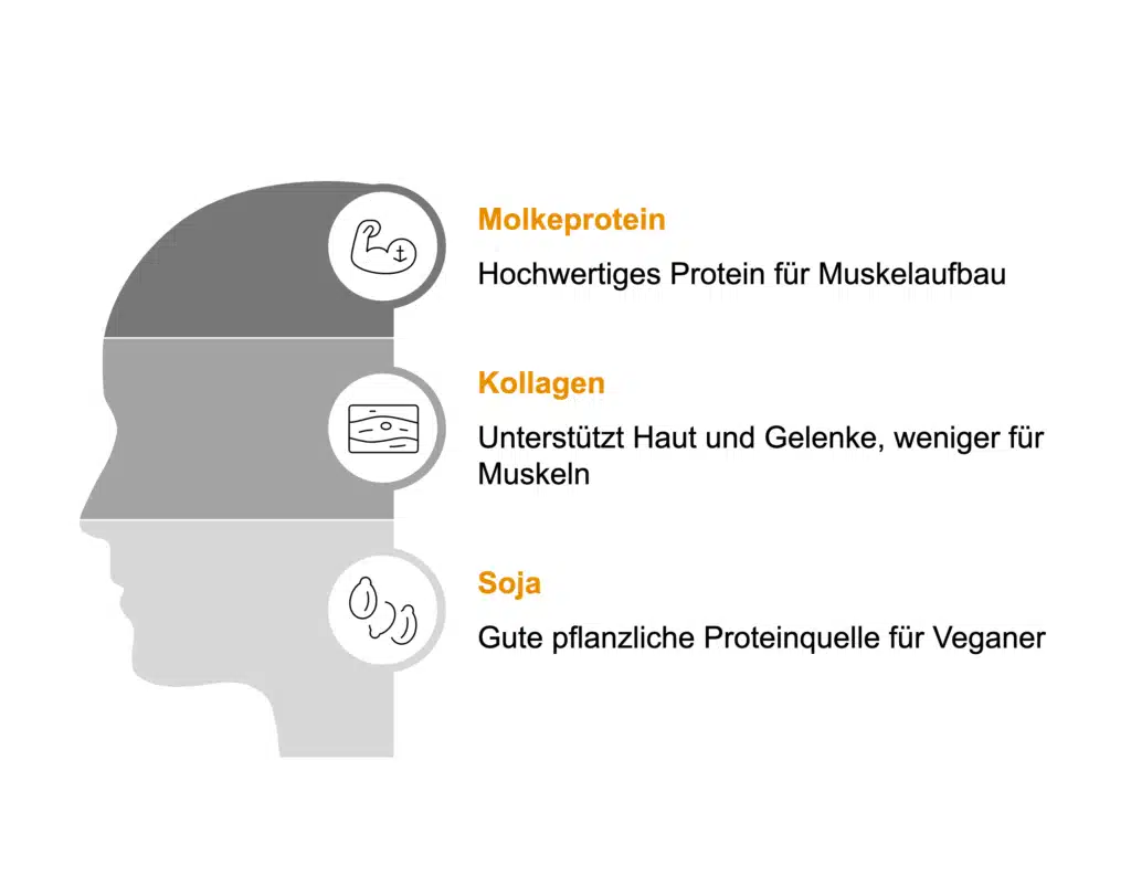 Visualisierung der unterschiedlichen Proteine im Proteinriegel